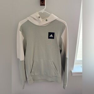 adidas Two-Tone Hooded Sweatshirt in Sage and Cream